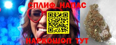 прущие грибы Кимры