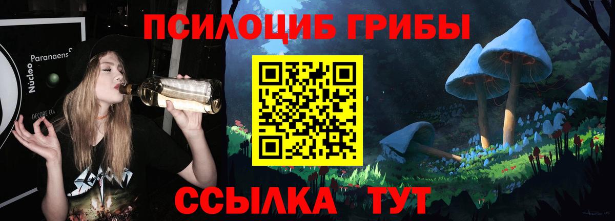 Киров  Псилоцибиновые грибы Cubensis  купить   Вход с VPN 